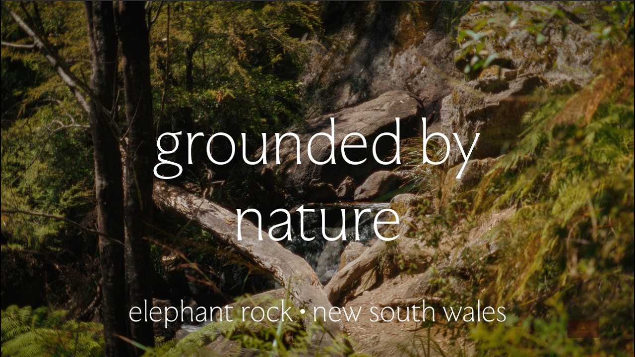 Deep Relaxation in the Rainforest | Gentle Running Water, Waterfall and Creek Sounds (1 Hour)