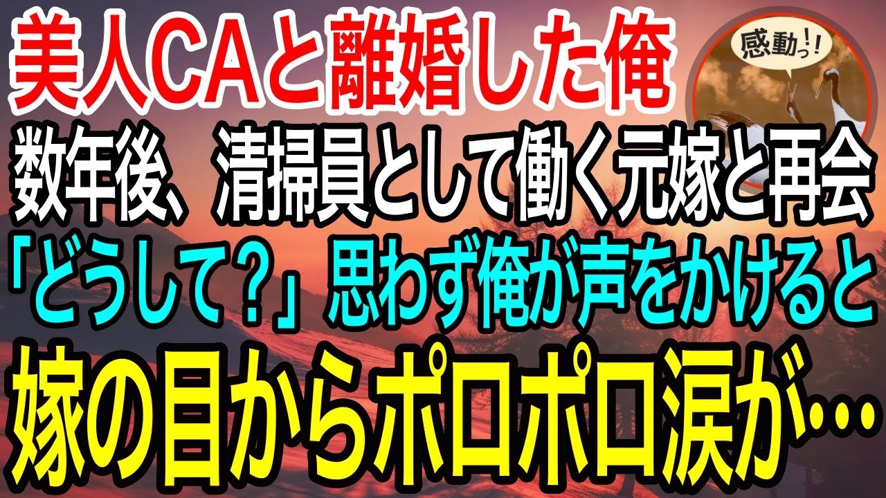 【感動】美人CAの妻と価値観が合わず離婚。数年後、ボサボサの髪で清掃員をする変わり果てた姿の元嫁と再会「なんでここに…」思わず声をかけると元嫁は涙を浮かべ…【泣ける話】【良い話】