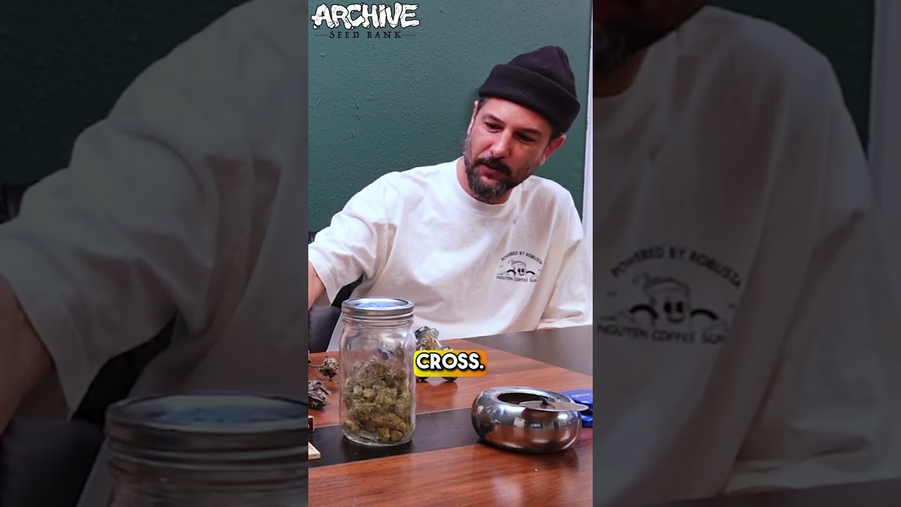 What are the key components to making a particular variety DANK? What does &ldquo;dank&rdquo; mean to you?