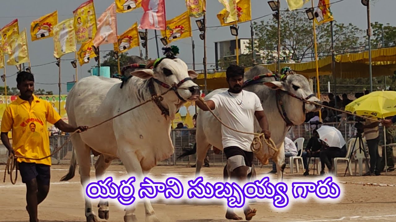 చిలకలూరిపేట జూనియర్స్ 2వ.యర్రసాని సుబ్బయ్య,పమిడిమర్రు, పల్నాడు జిల్లా