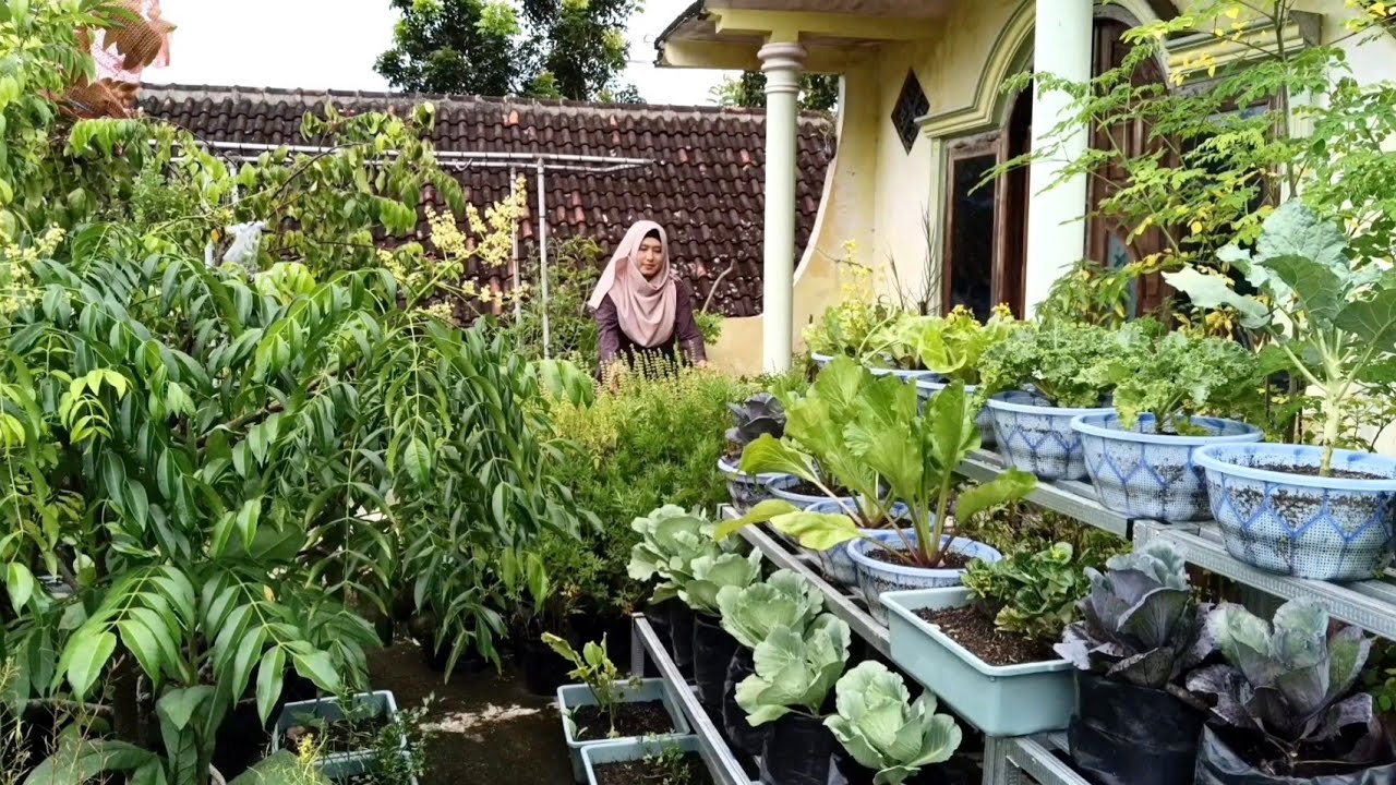 Balkon Sempit Bisa Menampung Banyak Tanaman
