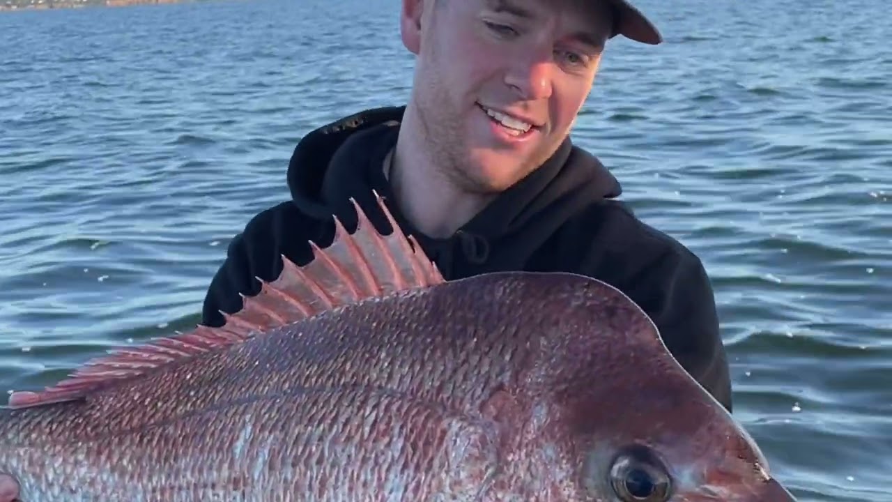 Melbourne Snapper Season. Port Phillip Bay!