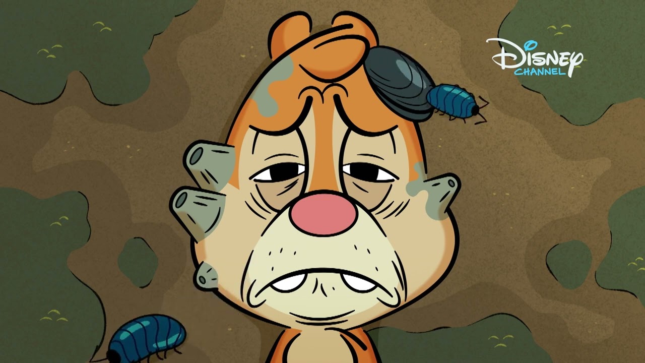 Przyjaźń na zawsze | Chip i Dale: parkowe psoty | Disney Channel Polska