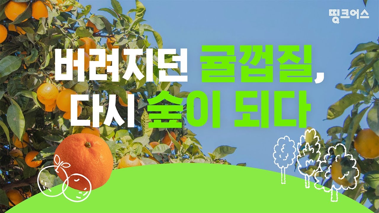 [띵크어스 #58] 버려지던 귤껍질, 다시 숲이 되다 