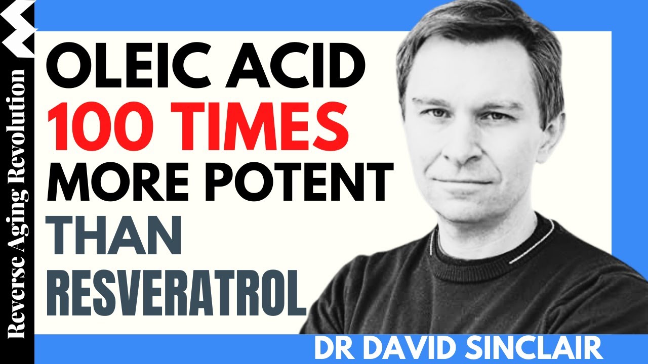 DAVID SINCLAIR &ldquo;Oleic Acid 100 Times More Potent Than Resveratrol&rdquo;|Dr David Sinclair Interview Clips