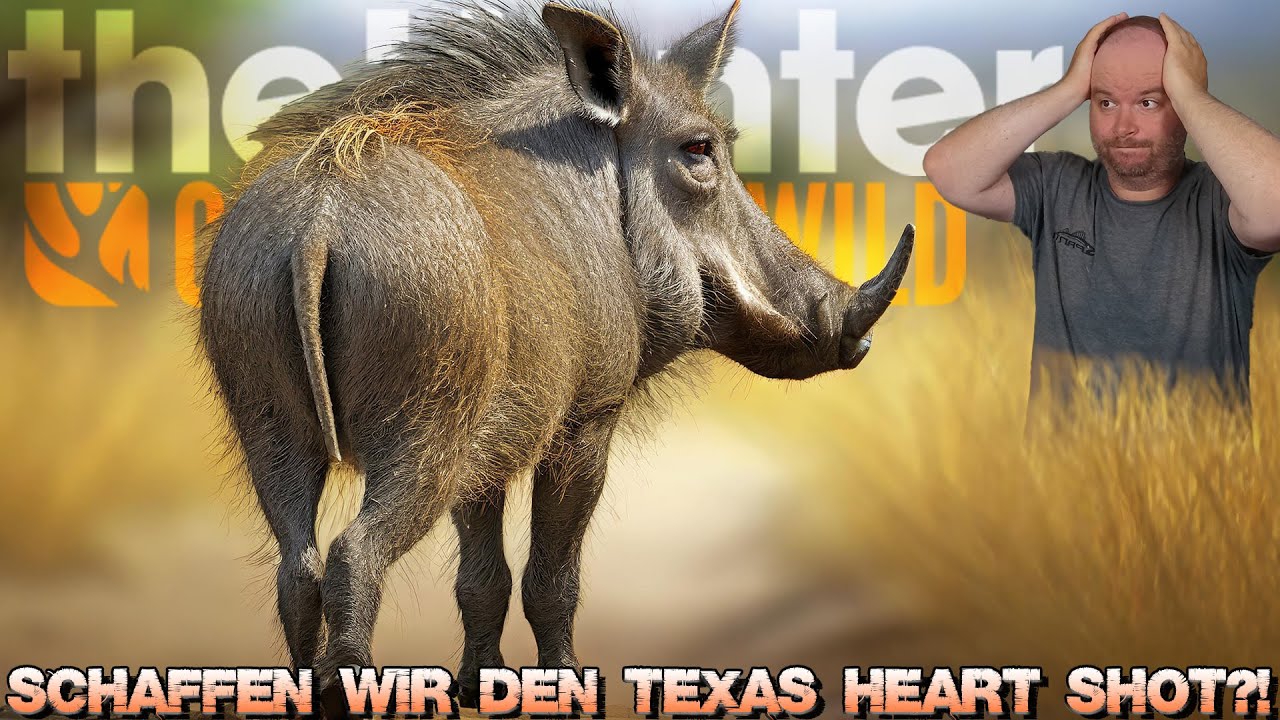 Schaffen wir ENDLICH den TEXAS HEART SHOT?! - Community Challenge! || theHunter Call of the Wild