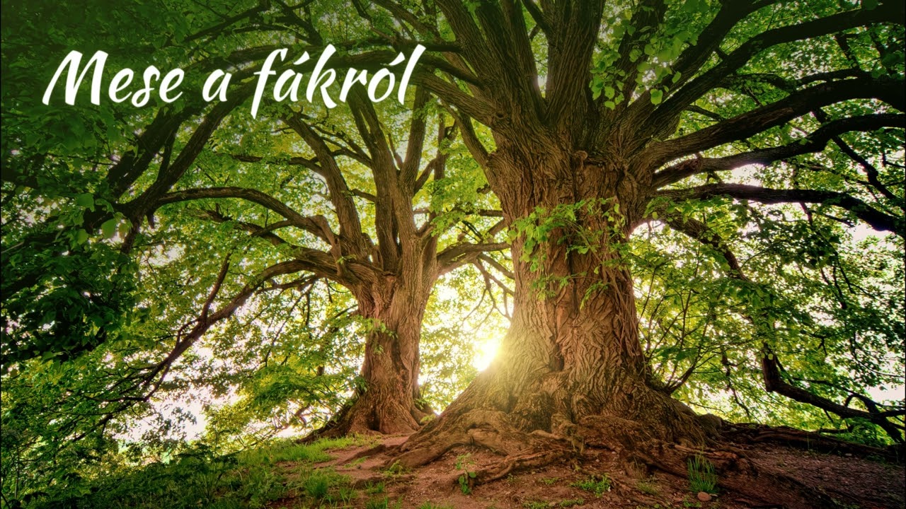 Mese a fákról - magyar népmese (hangos mese)