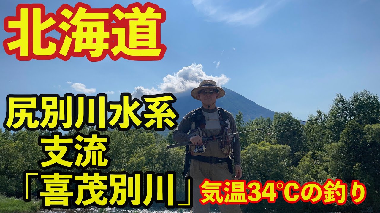【4K】 北海道の尻別川水系支流「喜茂別川」 河川ランガン ニジマス ヤマメ釣行 ルアーフィッシング