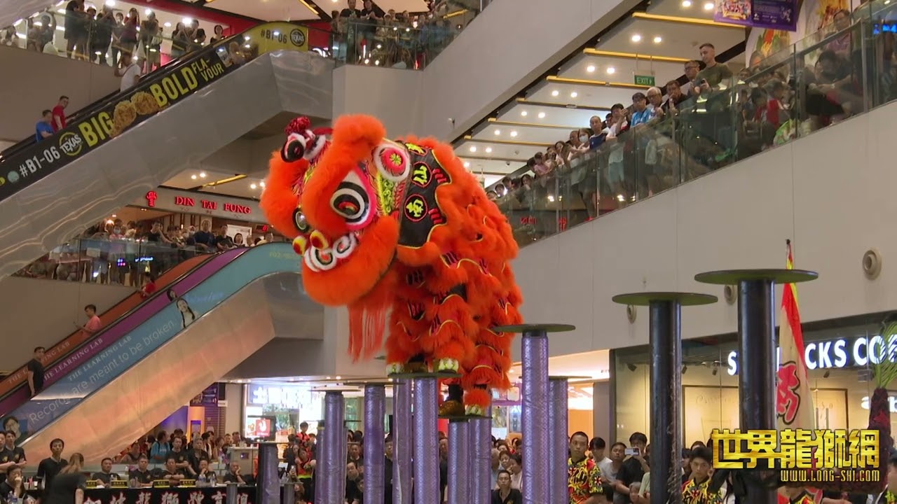 新加坡南仙龍獅體育會 Singapore Nam Sieng Dragon & Lion Dance Activity Center