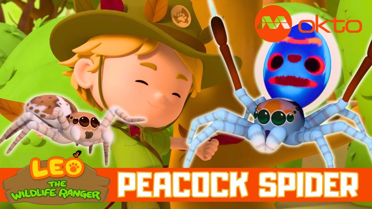 DANCING PEACOCK SPIDER ADVENTURES 🕷️🌈✨ | Leo the Wildlife Ranger Spinoff S6E01 | @mediacorpokto