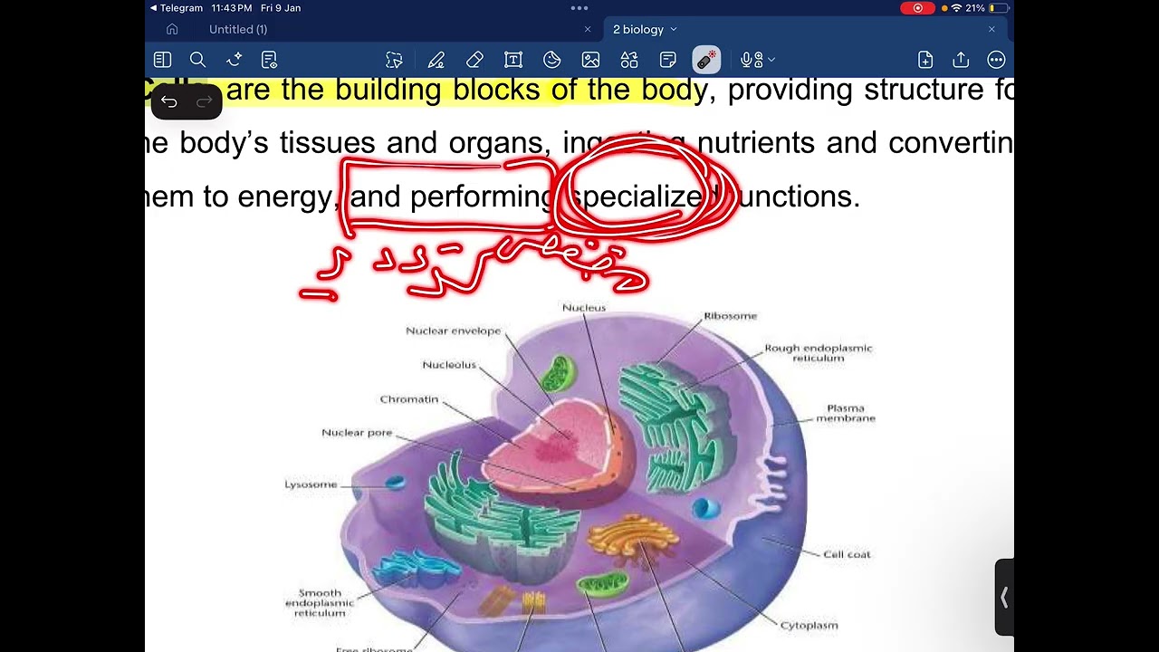 نموذج شرح مادة الاحياء / البيان / قسم تقنيات الكلية الصناعية / المرحلة الاولى #ديلزه