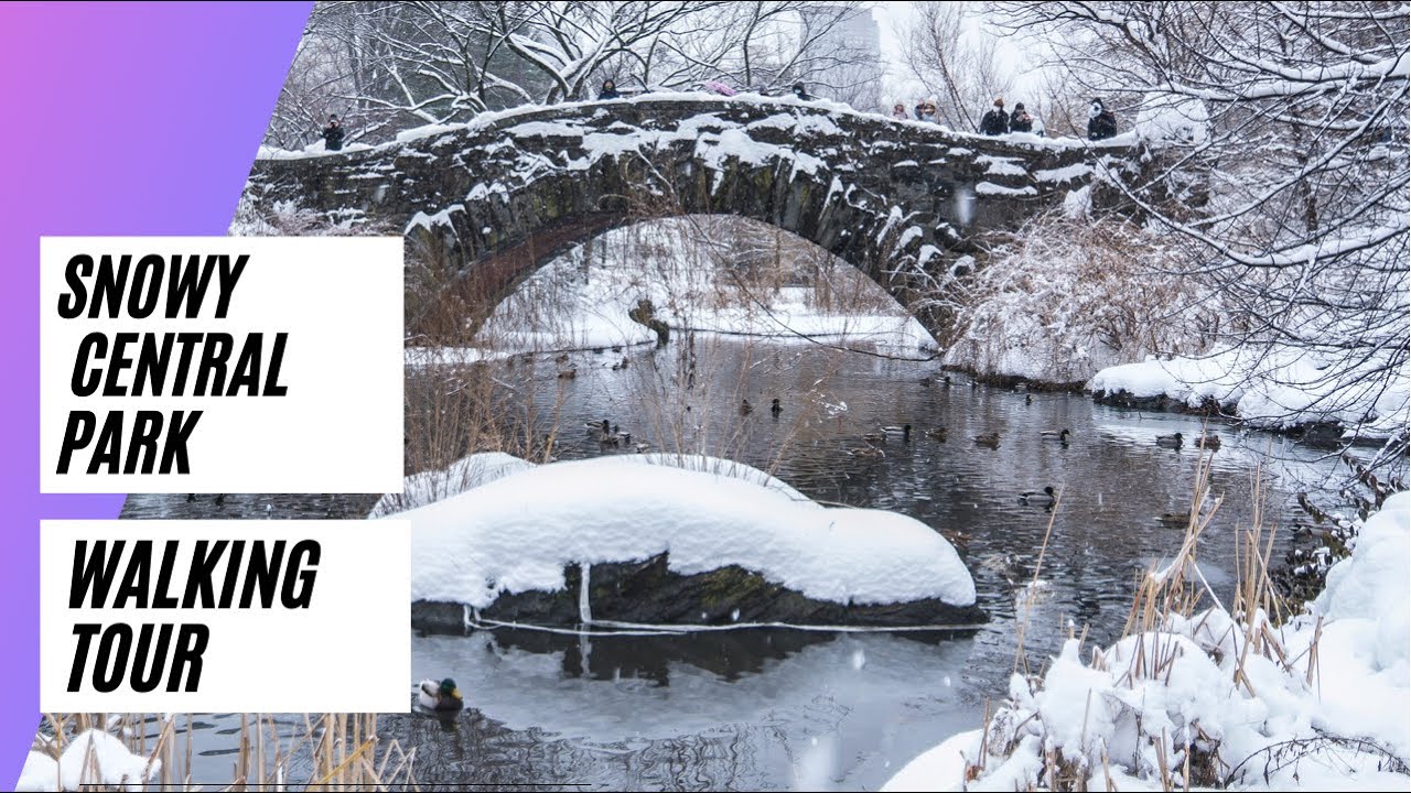 Walking Tour of Central Park (Winter), Manhattan, New York City