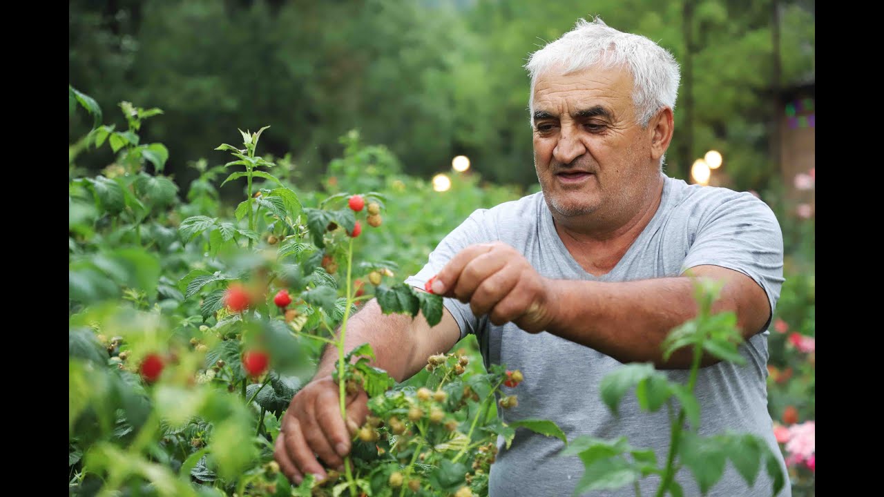 Կառլոսի դրախտը
