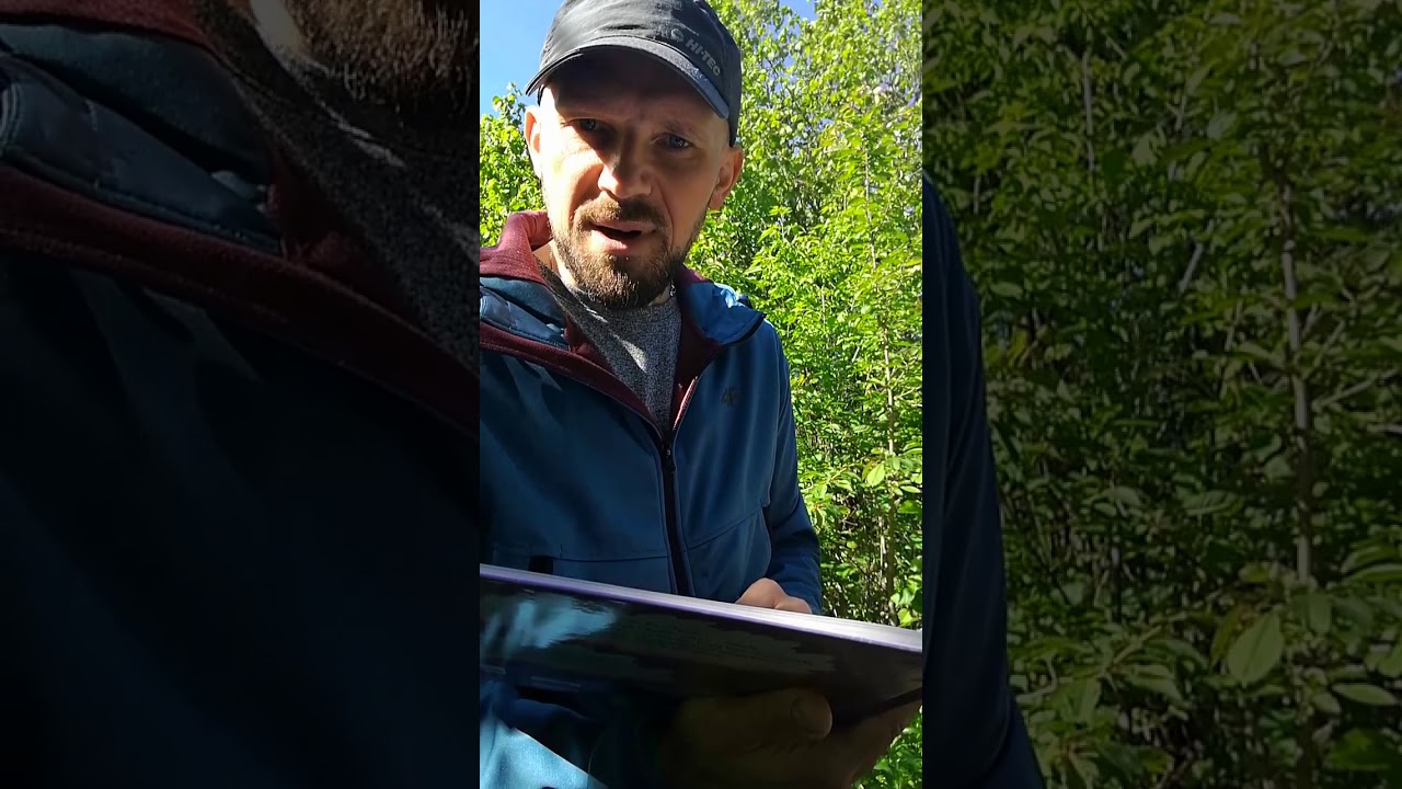 dr Tomasz Samojlik czyta o żubrze Pompiku