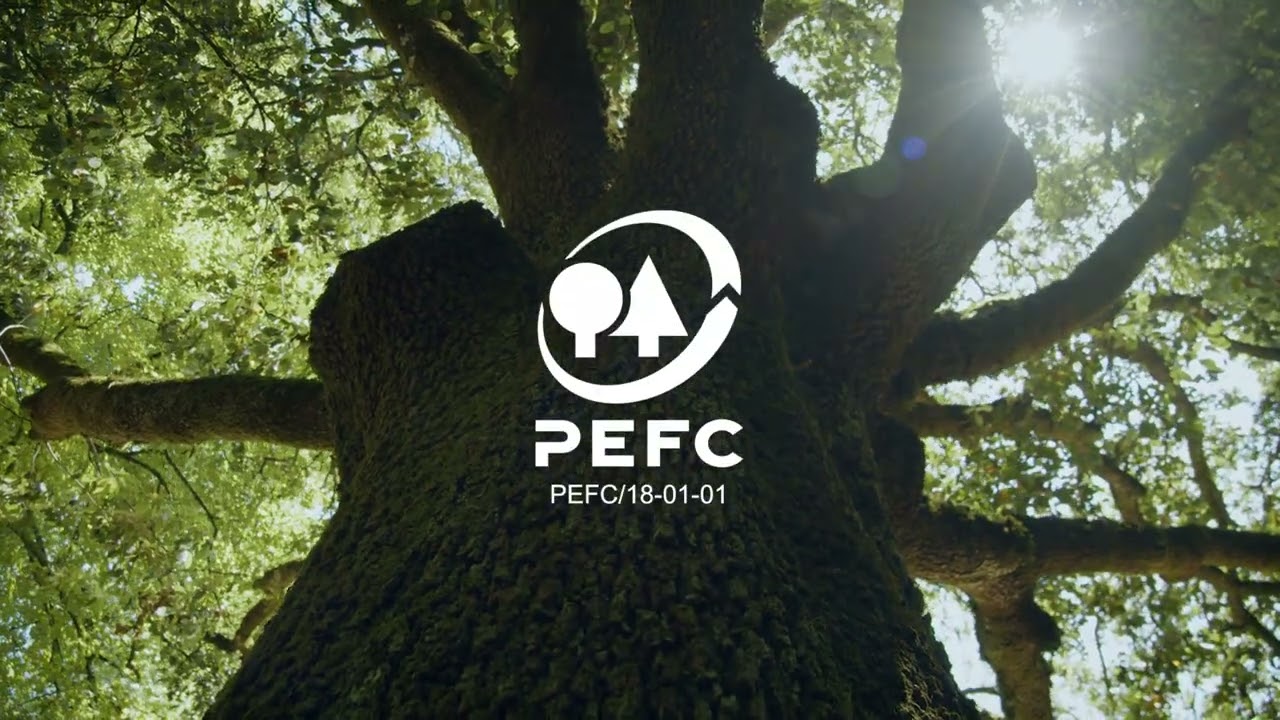 Comunità Forestali 2024 | Categoria Gestione forestale | AFOR