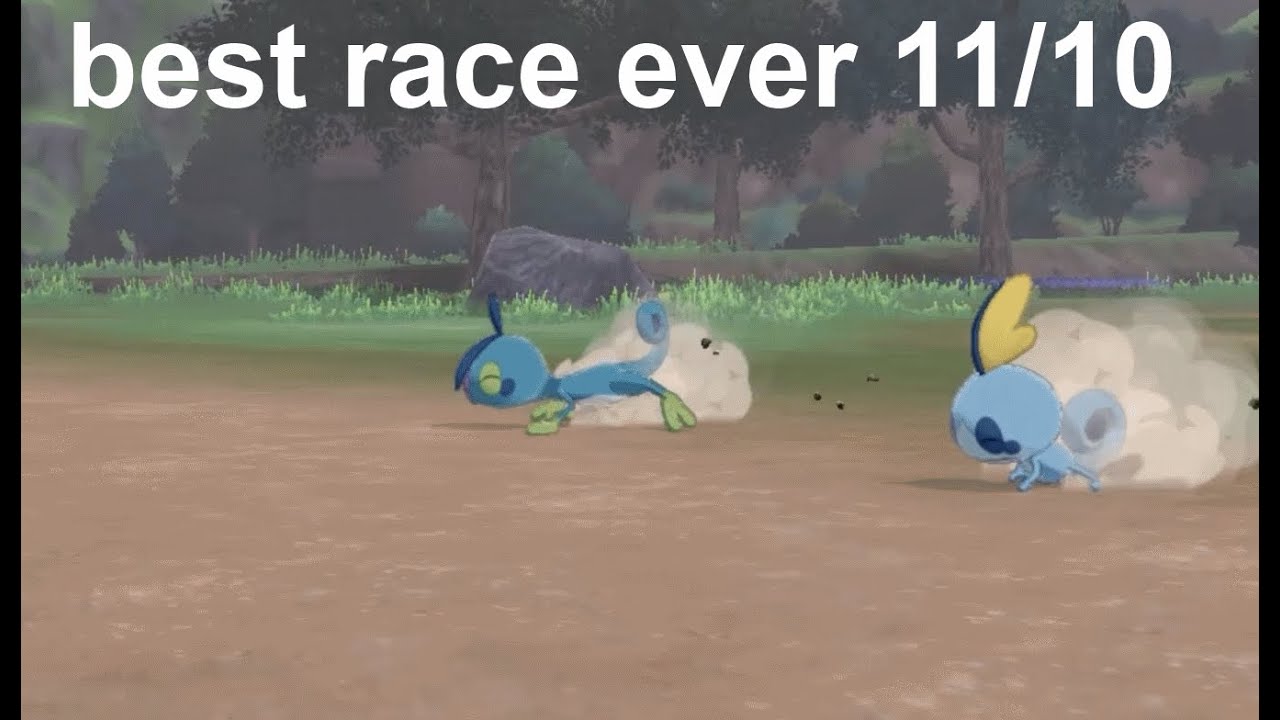 pokemon camp but its the sobble evolution line (part 4)
