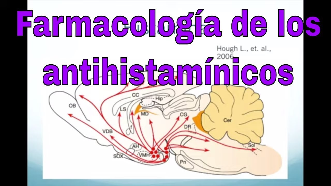 Farmacología de la loratadina y otros antihistamínicos