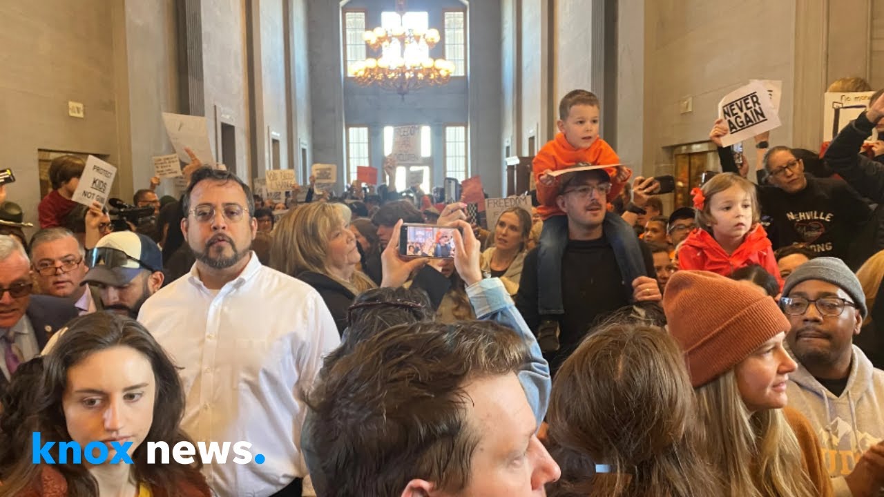 Hundreds rally for gun control at the Tennessee State Capitol after Nashville school shooting