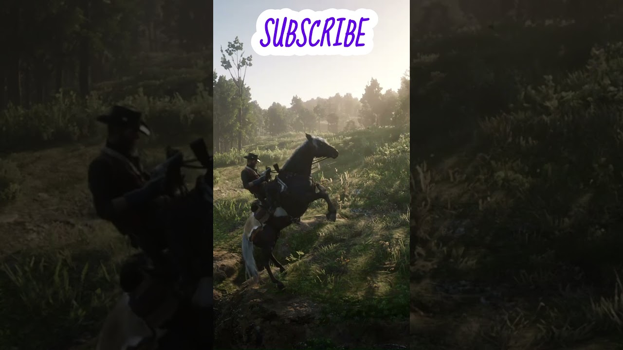 RDR 2, 