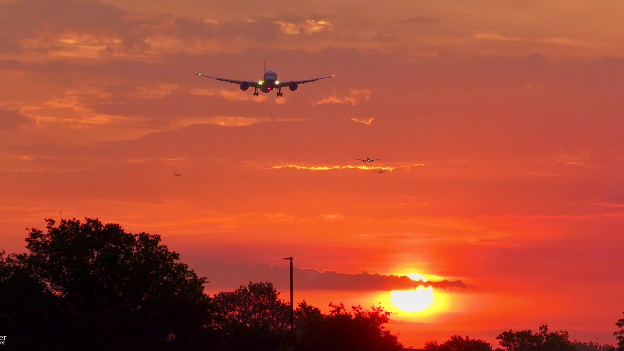 Golden Hour at Heathrow ✈️ Spectacular Sunrise and Plane Landings