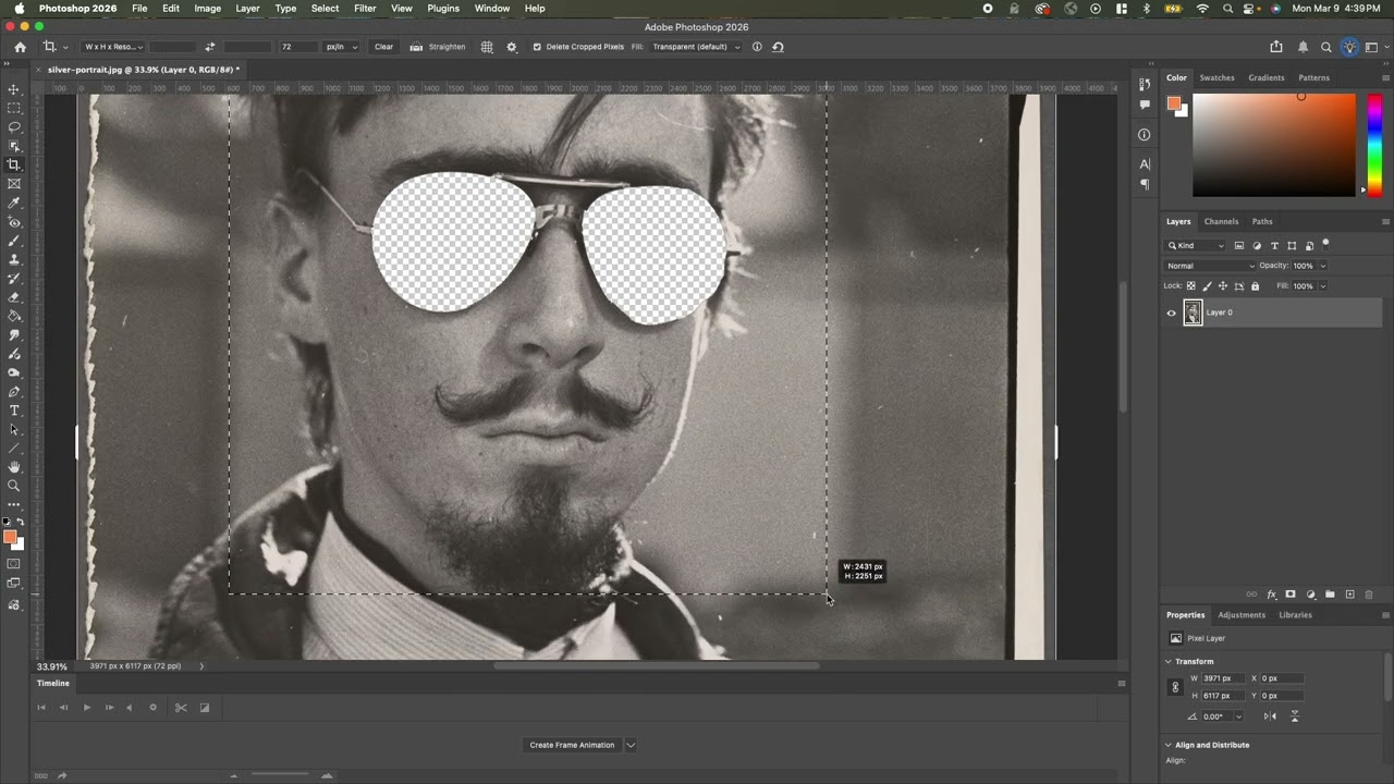 Photoshop Tutorial Erin McGean inspired negative space layers GIF animation