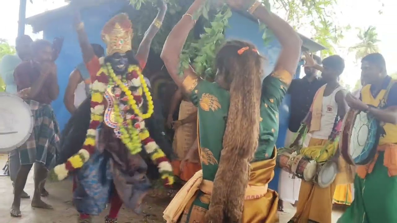 Velmurugan pambai Dharmapuri ..8778856401
