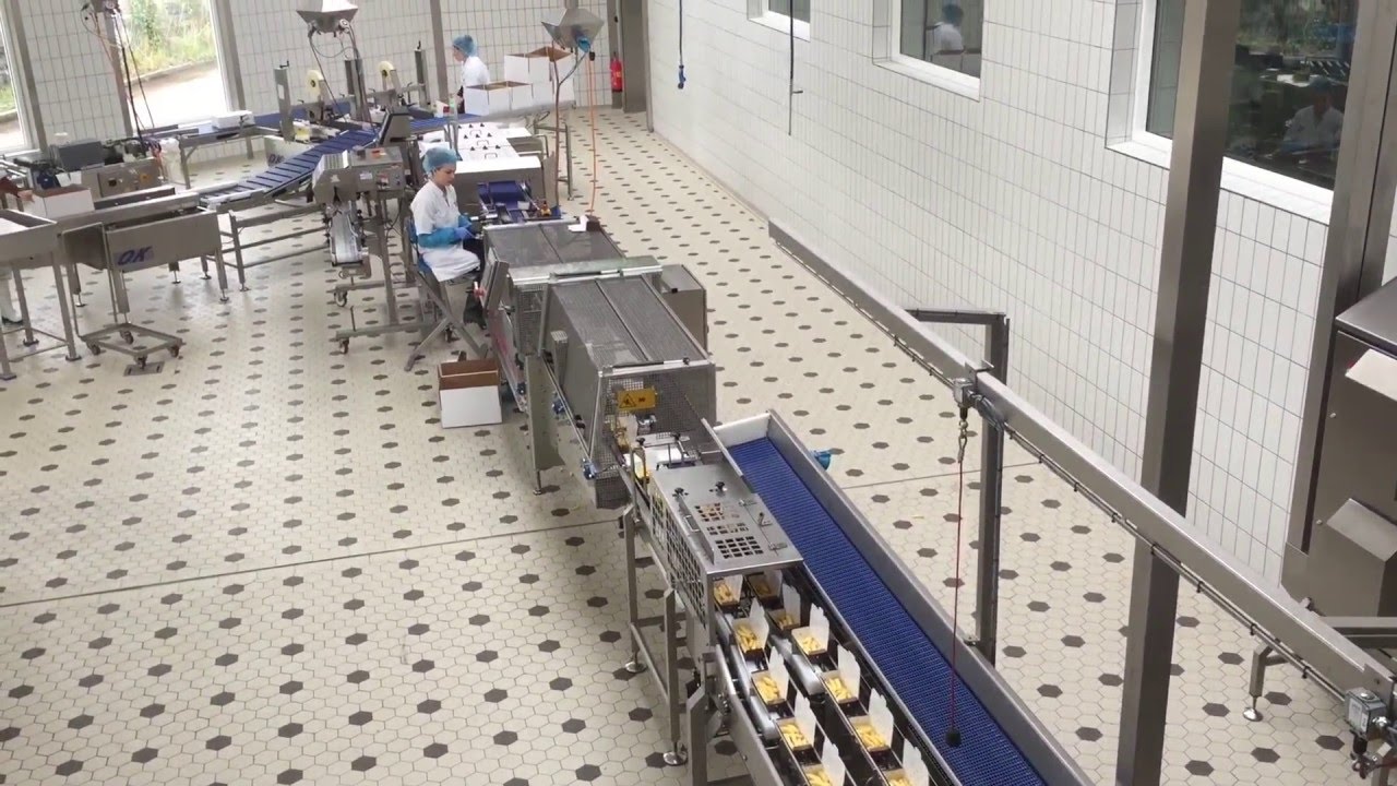 Packing / processing deep frozen fries/chips in boxes. How it's made.