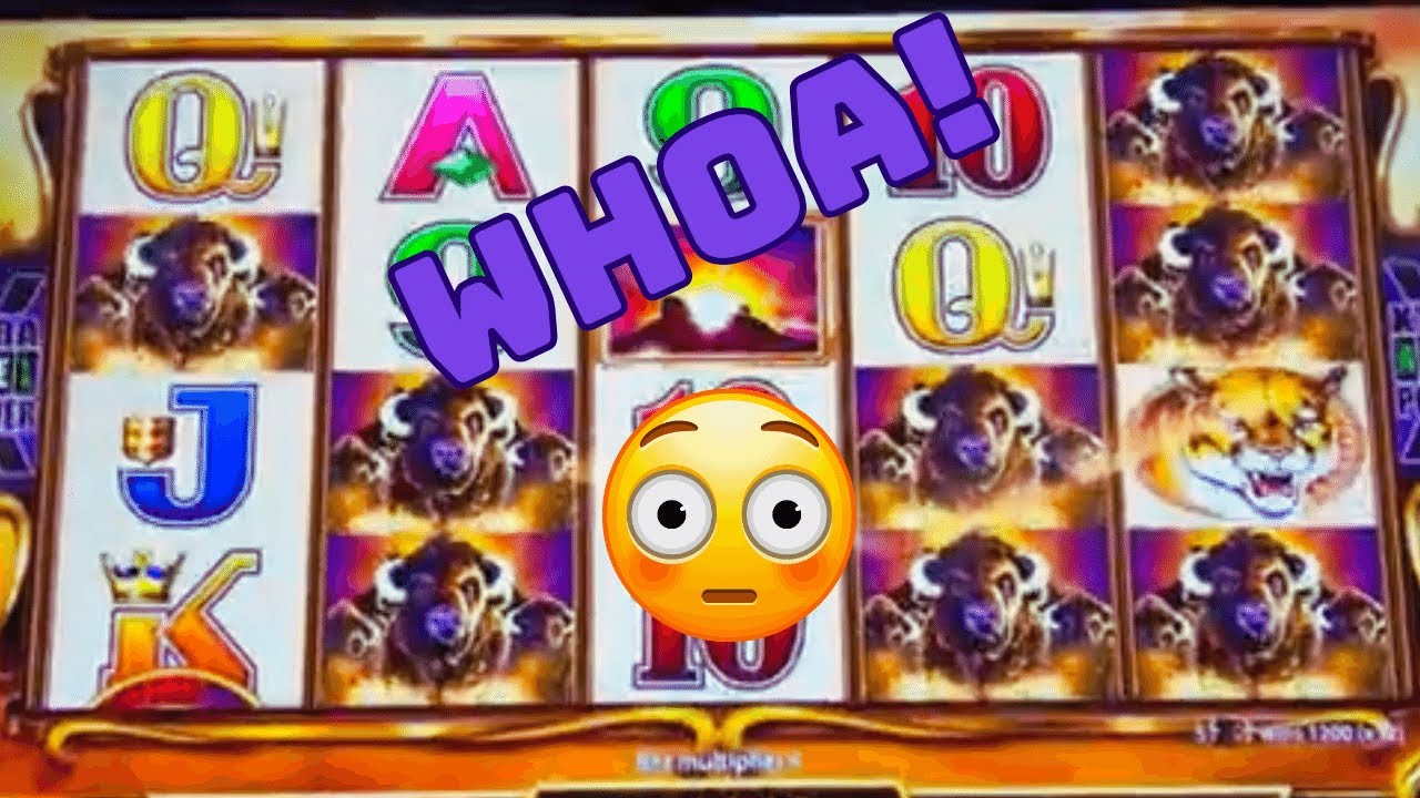 😳THIS IS UNBELIEVABLE on Buffalo Gold Revolution! #slots #subscribe #casino #bonus