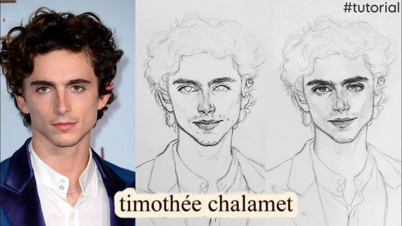 Loomis face drawing tutorial |drawing Timothee Chalamet step by step/Rini8sh