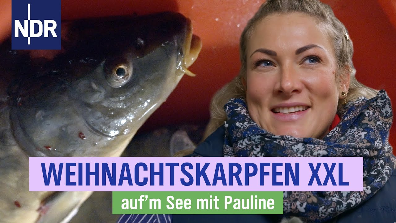 Was für ein Verkaufsmarathon: alle wollen Fisch zu Weihnachten | Folge 7 |  NDR auf'm Land
