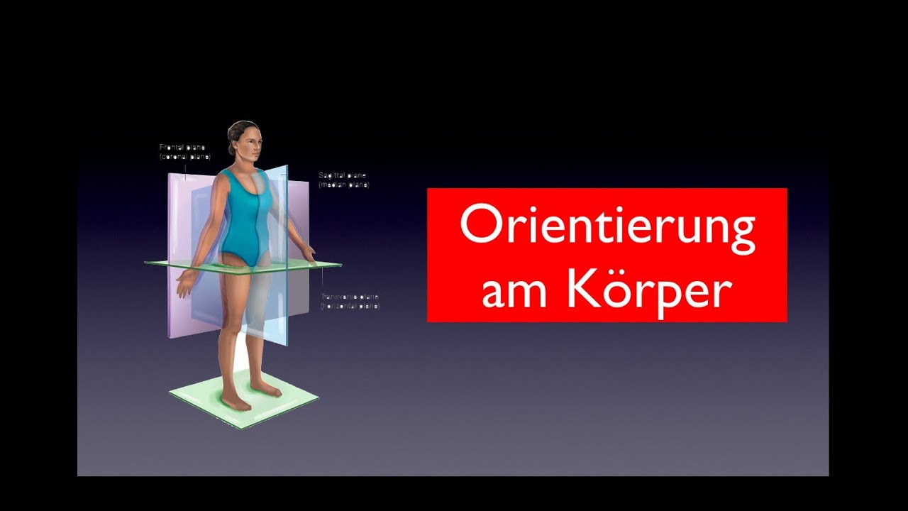 Orientierung am Körper