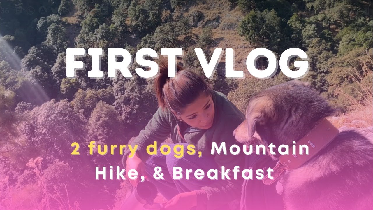 Mountains, breakfast and two furry dogs. A short hike video!