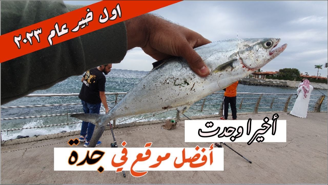 صيد السمك في جدة, اول رحلة و اول خير 2023 (لايفوتكم الموقع😍🎣🐟)