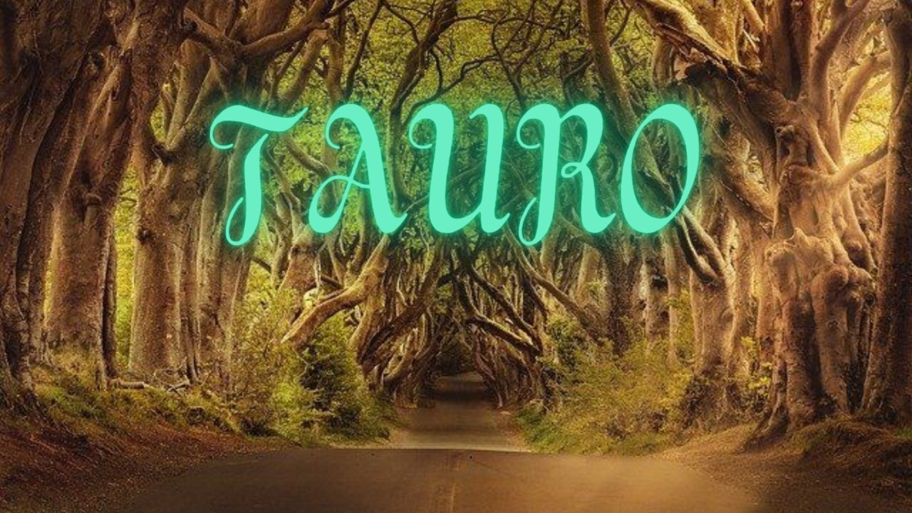 TAURO CAMBIO BRUTAL! 😱 TIENES CERCA A QUIEN LO VIVIRÀ CONTIGO💫 NO SABRÀS Q HACER CON TANTO LUJO ✨