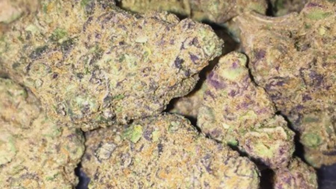 ANIMAL COOKIES STRAIN REVIEW!