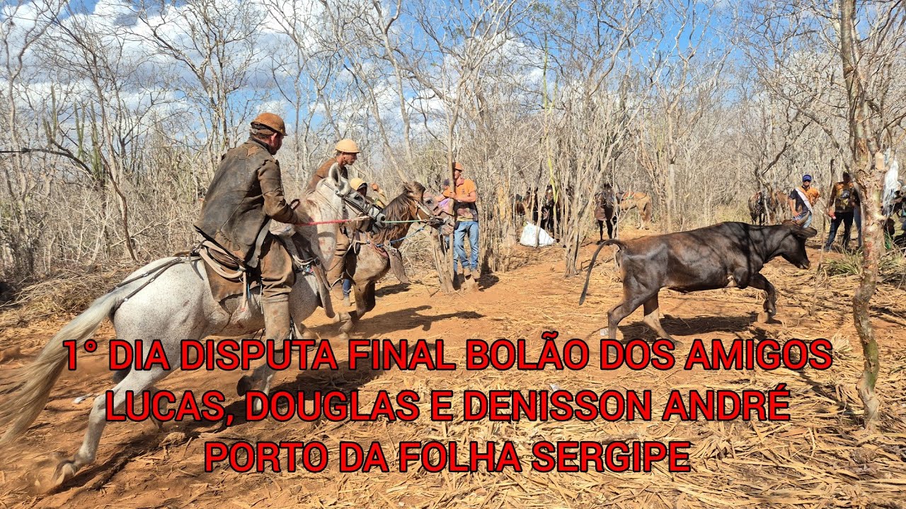 1° dia de disputa do bolão de pega de boi no mato dos amigos Porto da Folha Sergipe. 