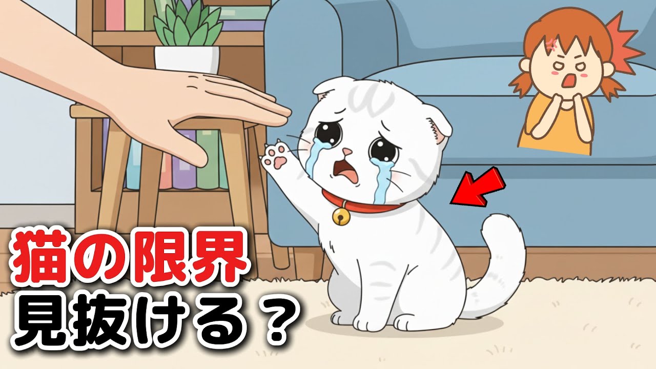 【猫の雑学】無視しちゃダメ！猫が「もう限界」と訴える行動