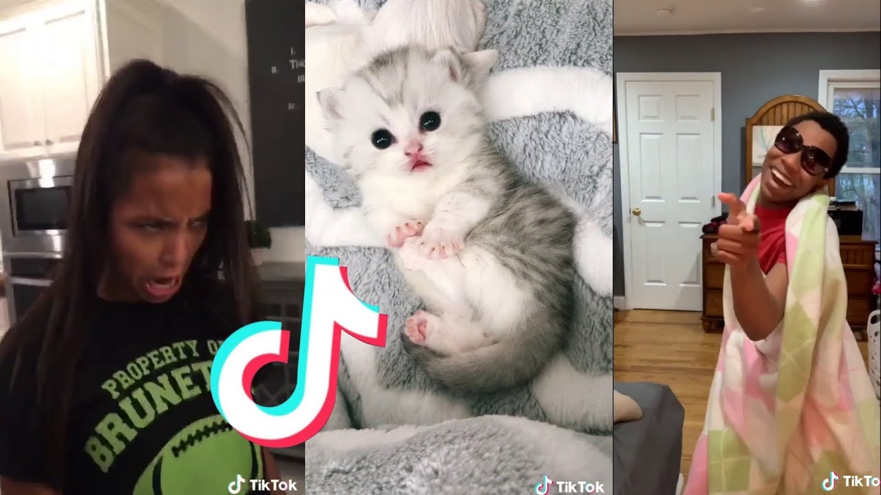 tik tok memes that are actually funny (2019)