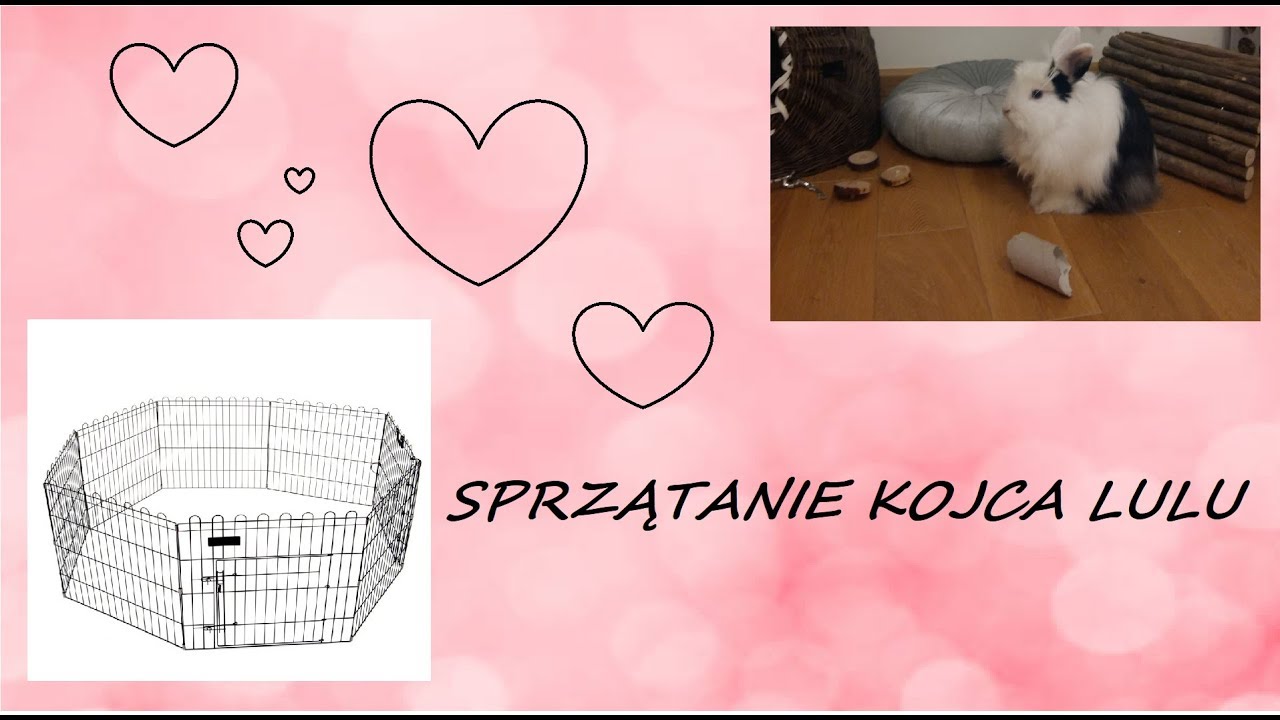 Sprzątanie kojca królika+ informacja w opisie