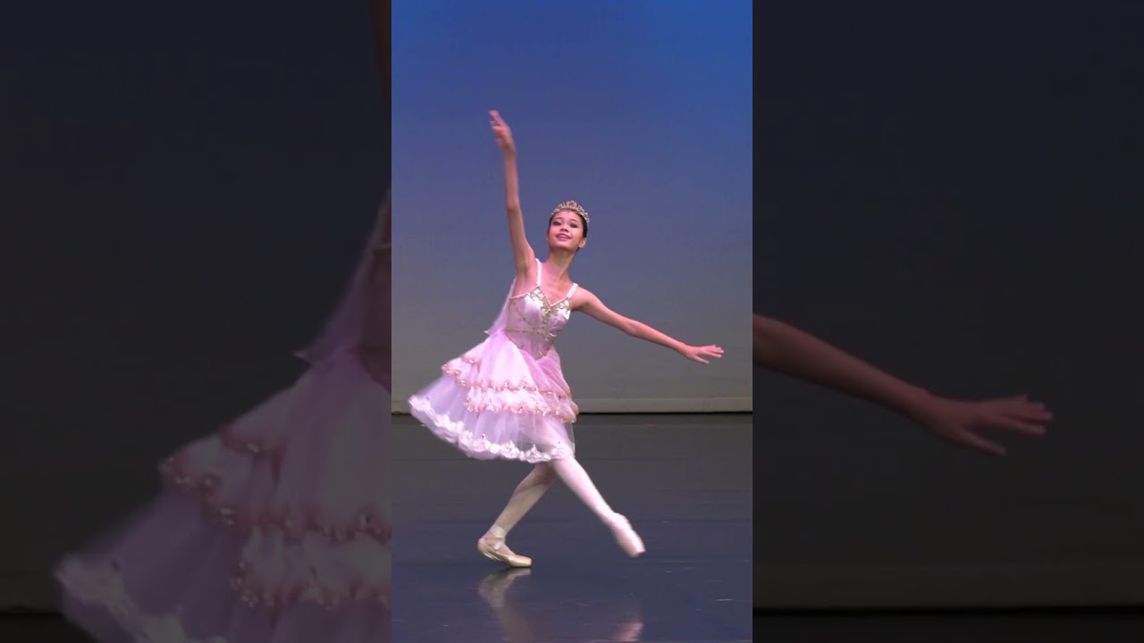 Yong Sook Ting Wins Silver & Scholarship at Youth Arts Festival 2022