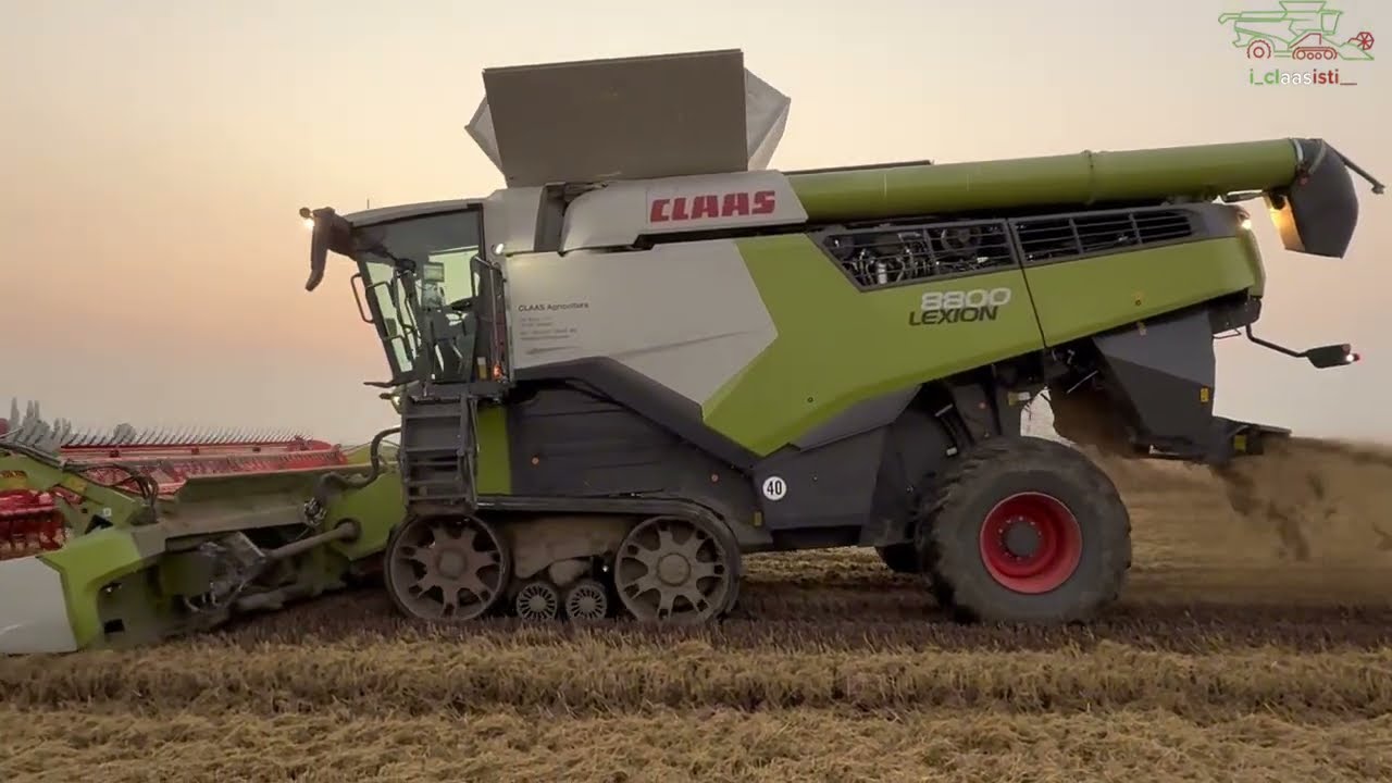 claas lexion 8800ttr + convio 770 trebbiatura riso 2025 (pt2) 