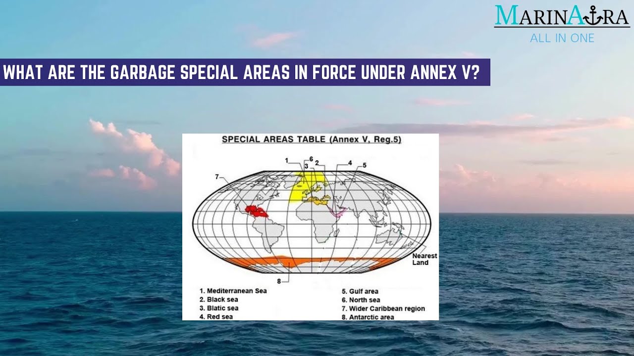 Answer: What are the garbage special areas in force under Annex V?
