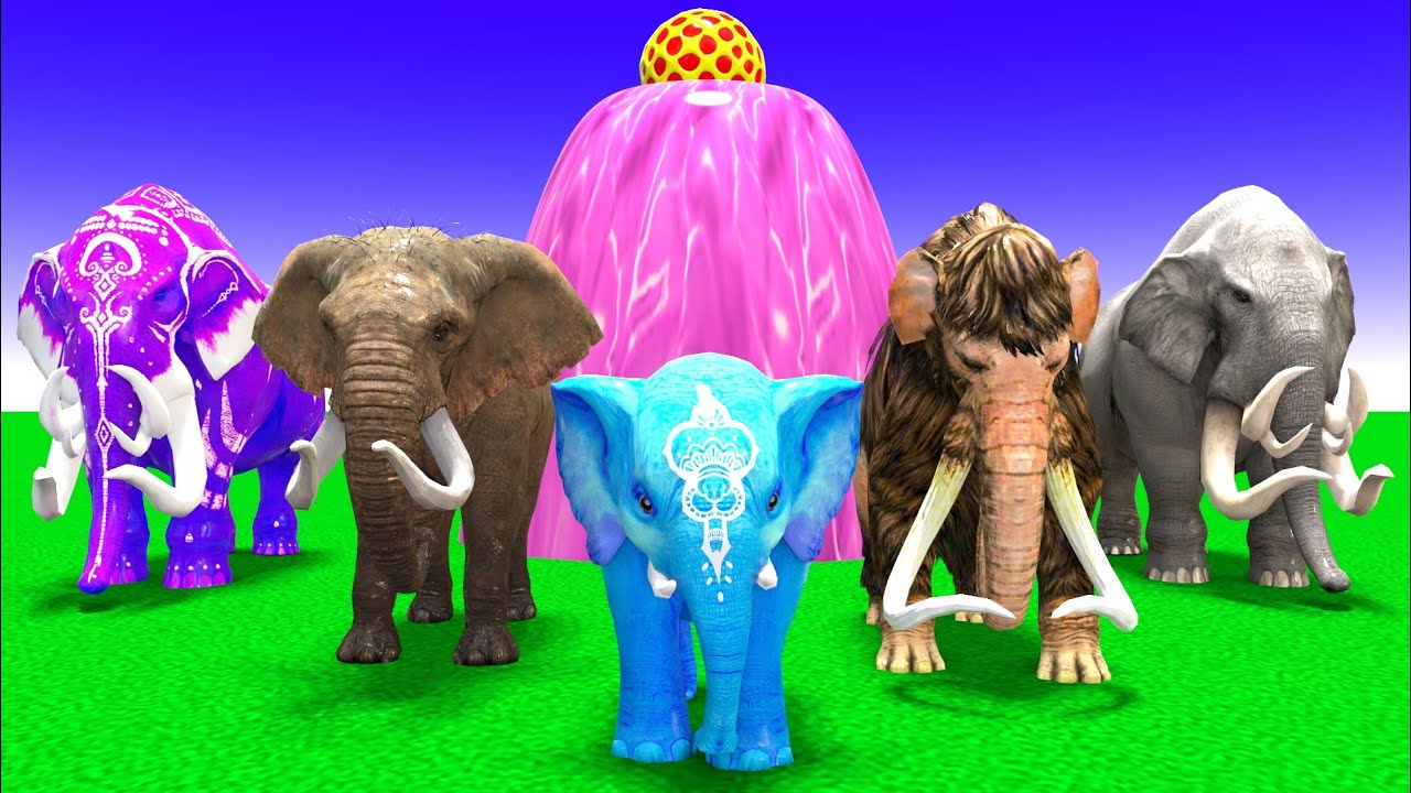 Paint Animals Mammoths and Elephants Size Comparison Fountain Crossing Animal Game Transformation