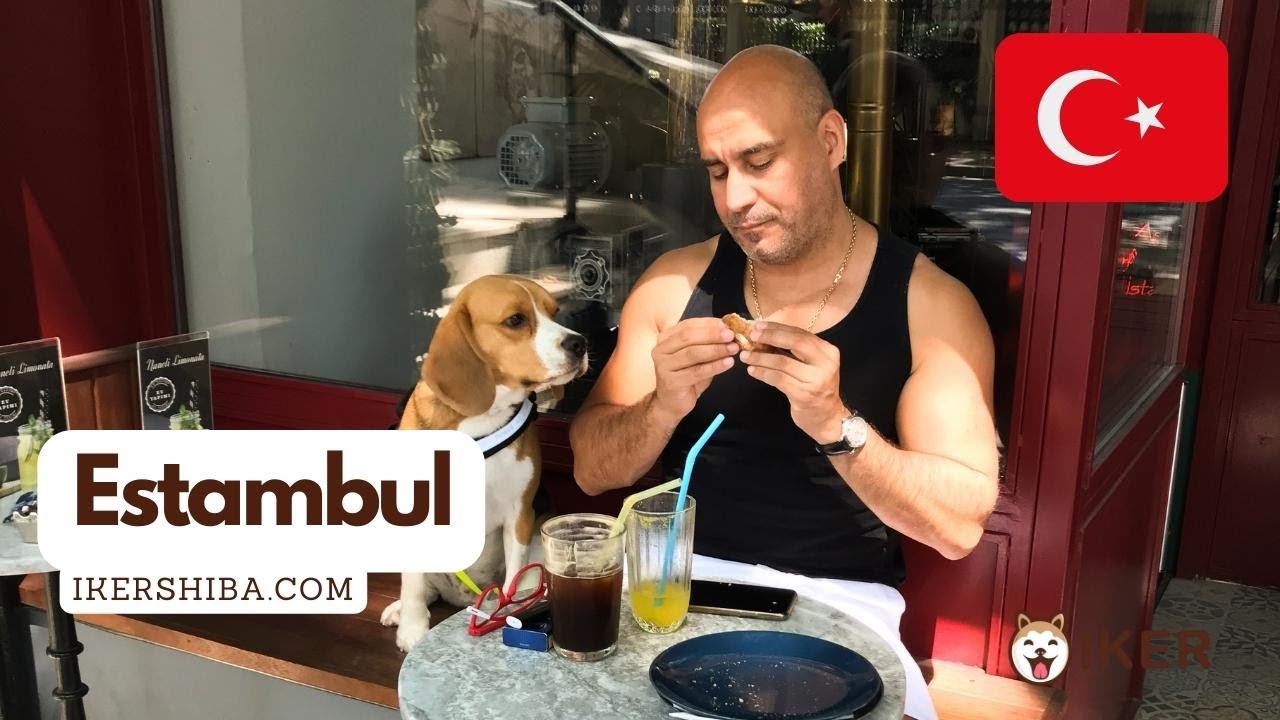 Estambul, Turquía con perro: ¿cómo pasamos un día entre perros?