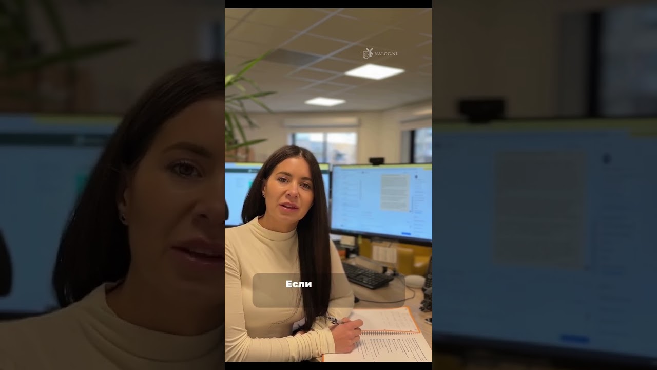 Годовая декларация предпринимателя EMZ\ZZP