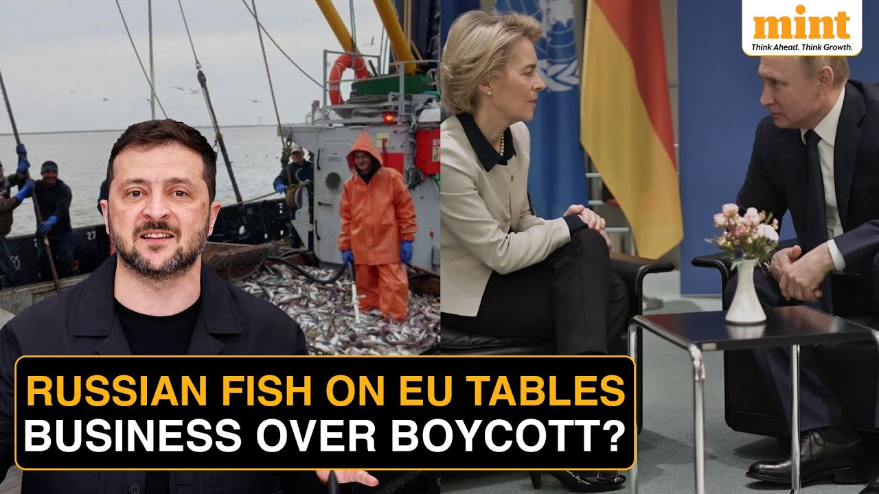 EU Sanctions Vs Reality: How Russian Seafood Still Reached Europe During The Ukraine War