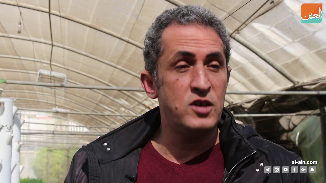 الاستزراع السمكي فوق الأسطح.. مشروع مصري لمواجهة نقص المياه
