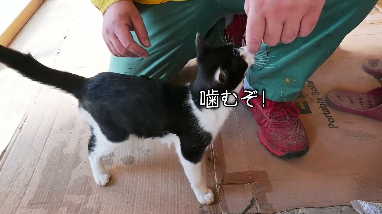 【田舎暮らし】初心者DIYが挑む大問題！基礎工事の壁を超えられるか！