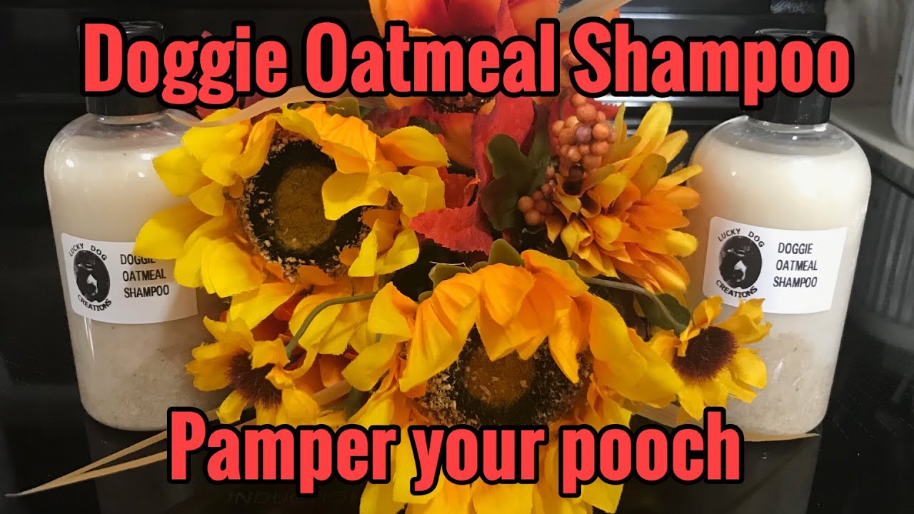DIY Dog Oatmeal Shampoo