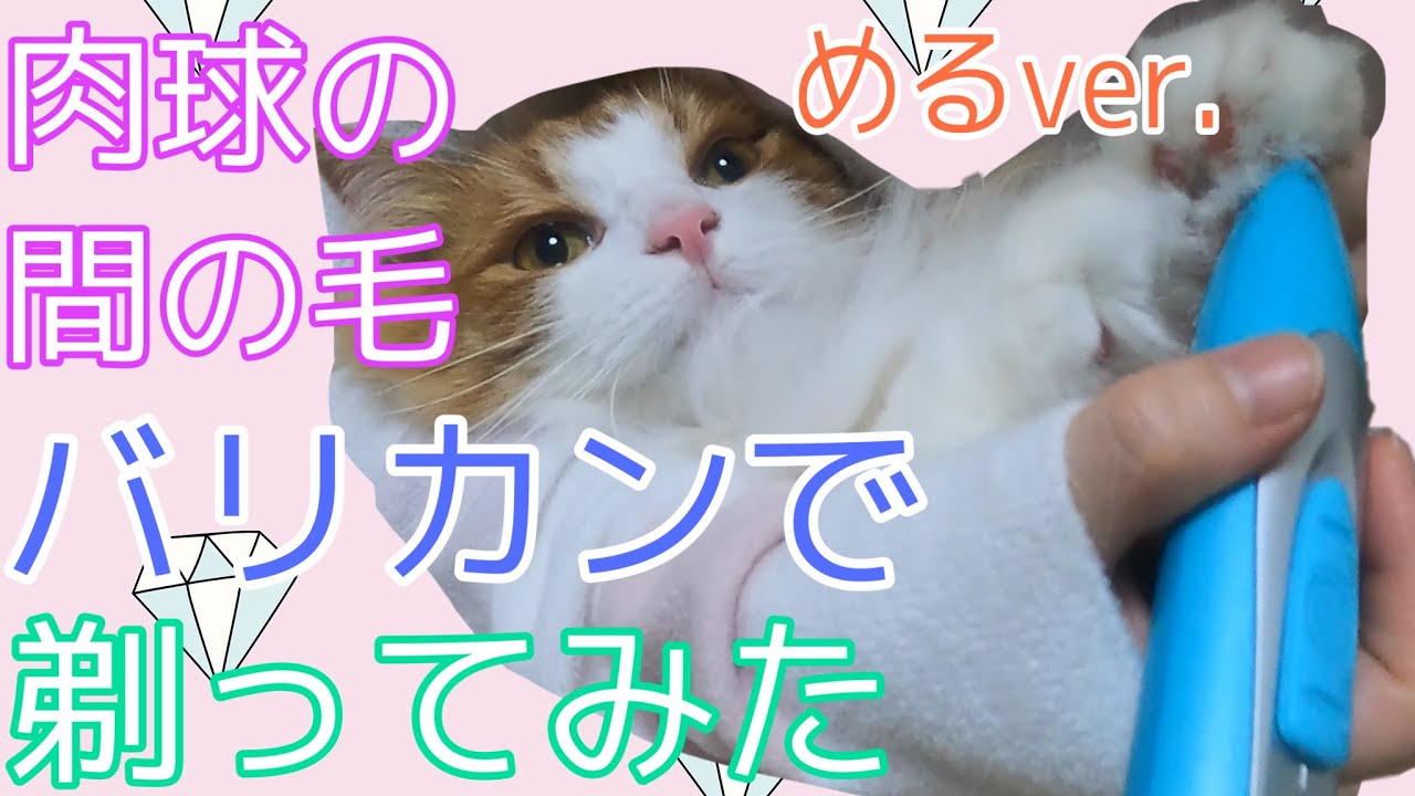 猫の肉球の間の毛をペット用バリカンで剃る。めるver.